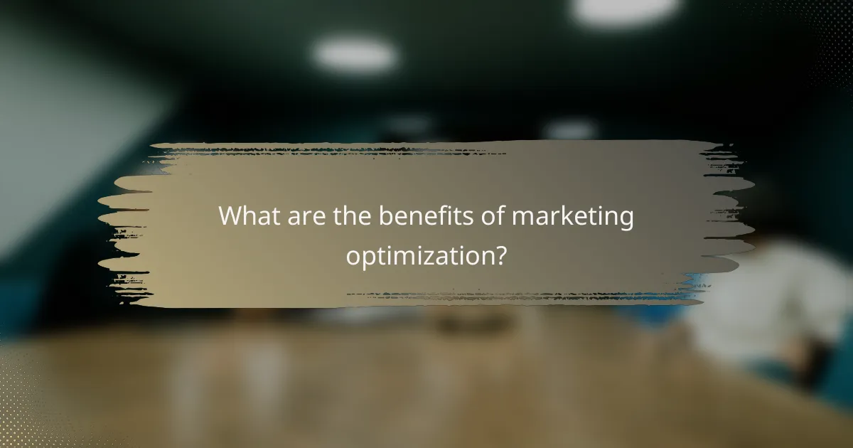 What are the benefits of marketing optimization?