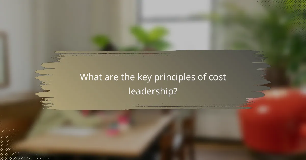What are the key principles of cost leadership?